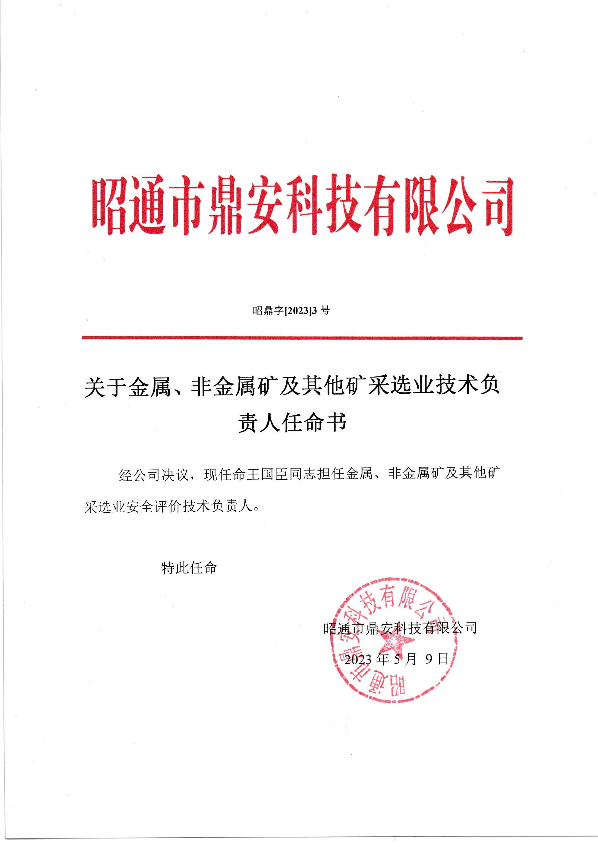 關于金屬、非金屬礦及其他礦采選業(yè)技術(shù)負責人任命書-王國臣_2.jpg